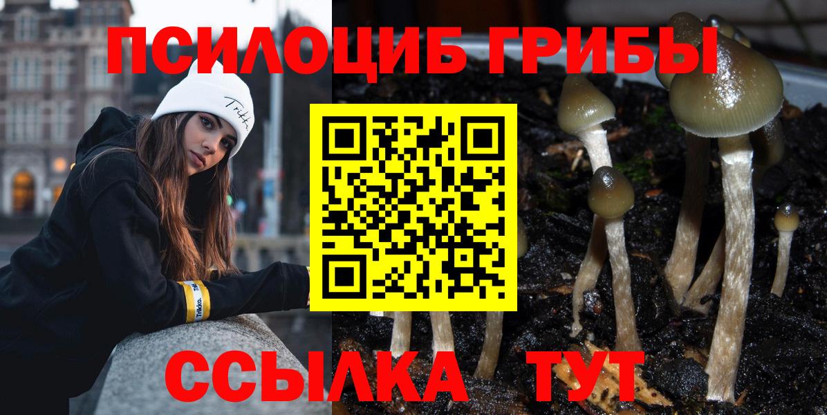 Галлюциногенные грибы мицелий Конаково