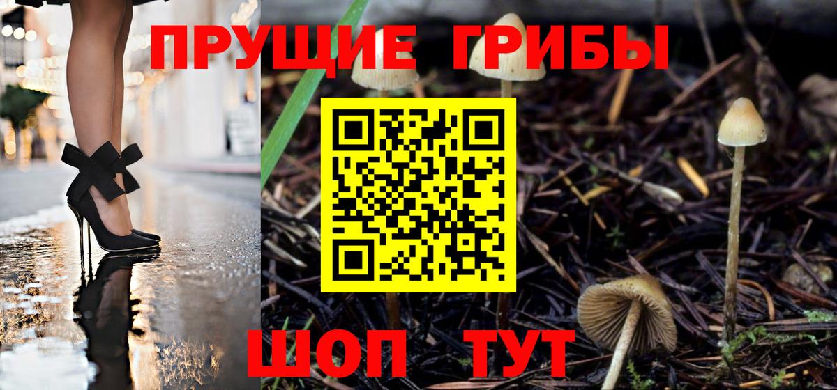 Галлюциногенные грибы мицелий  Псилоцибиновые грибы ЛСД  Конаково  Вход с VPN 